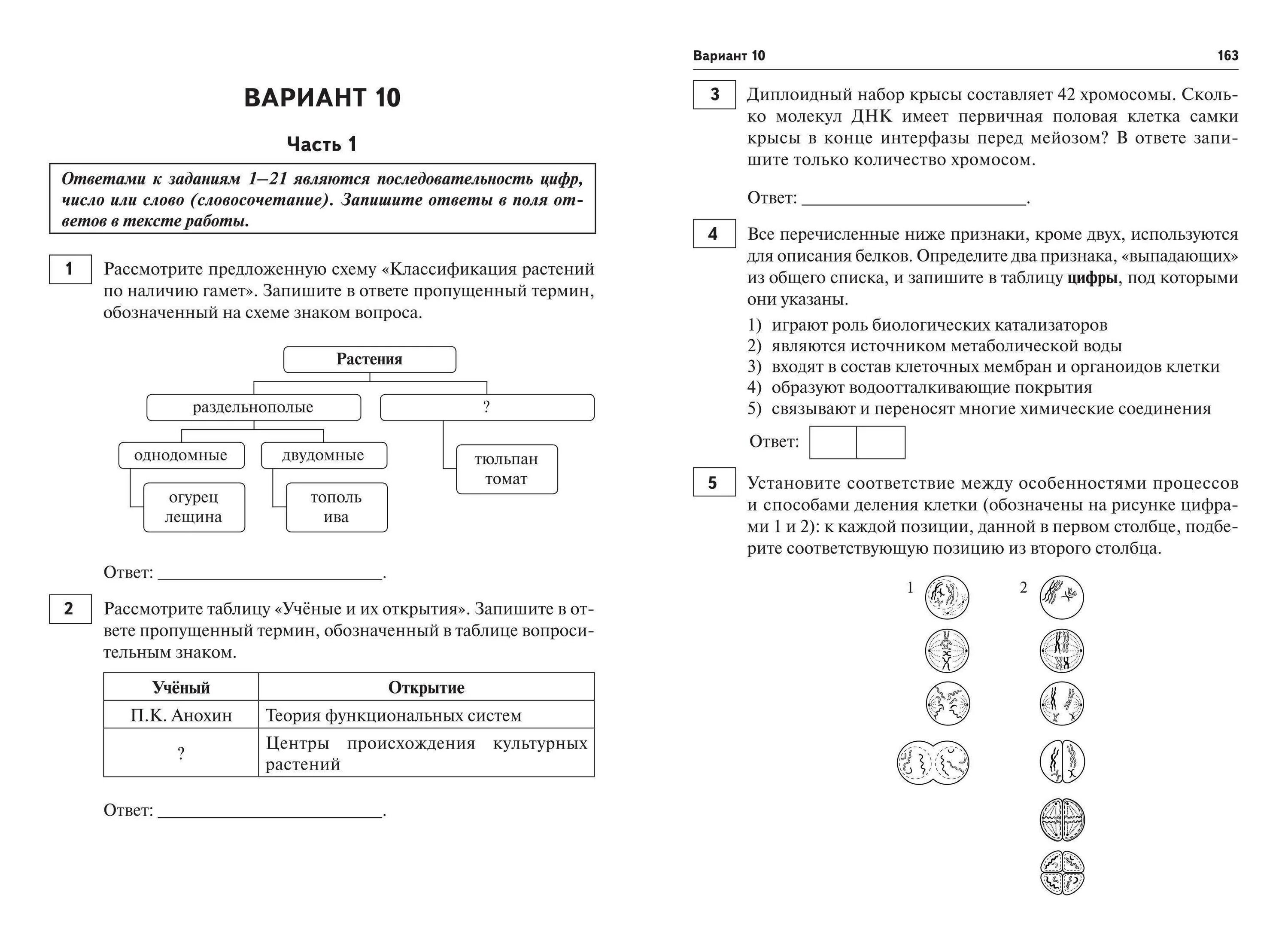 Задание 4 егэ биология 2024. Демонстрационный вариант ЕГЭ биология 2020. ЕГЭ по биологии задания. Пробник ЕГЭ по биологии. Тестовые задания ЕГЭ биология.