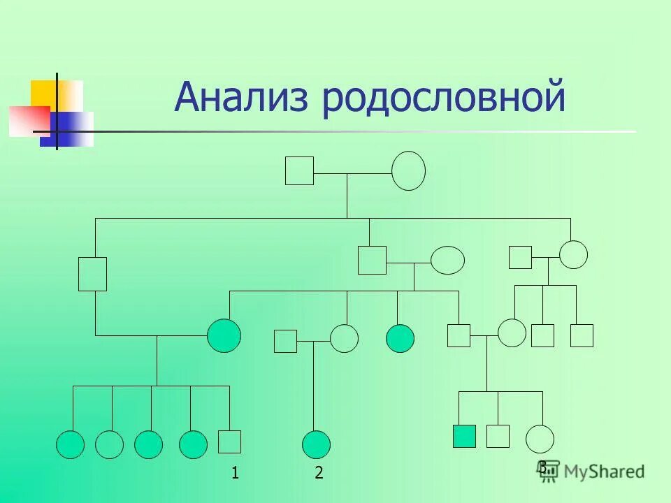 Лицо родословная которого составляется называется