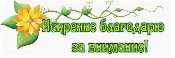 Искренне внимание