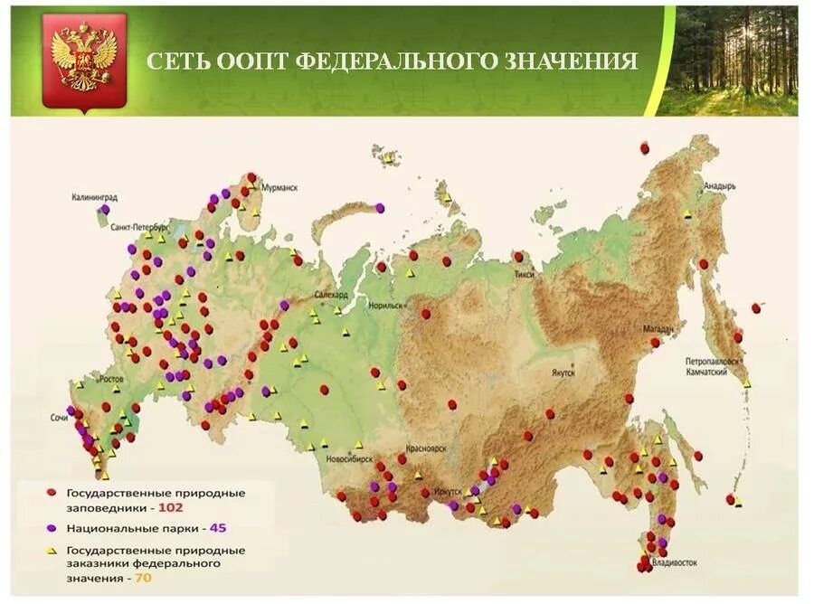 Размещение особо охраняемых территорий. Национальные заповедники россии на карте. карта заповедников и нац парков россии. заповедники национальные парки заказники россии на карте. карта особо охраняемых природных территорий россии.