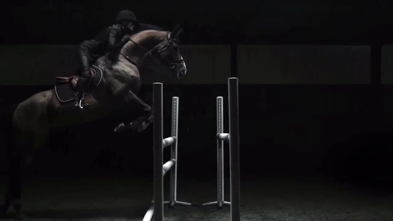 Лошадь в темноте. Эстетика конного спорта конкур. Лошади Эстетика конкур. Лошадь прыгает. Лошадь в прыжке Эстетика.