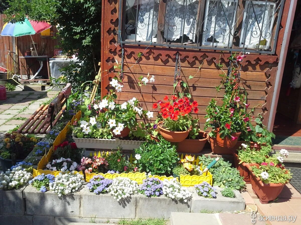 Ютуб дачная жизнь. Дачная жизнь. дачные прелести. дачная жизнь фото. загородная жизнь на даче.