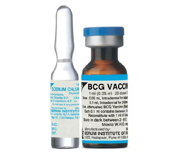 BCG vaccine. Вакцинирование BCG. Серум вакцина. Each single