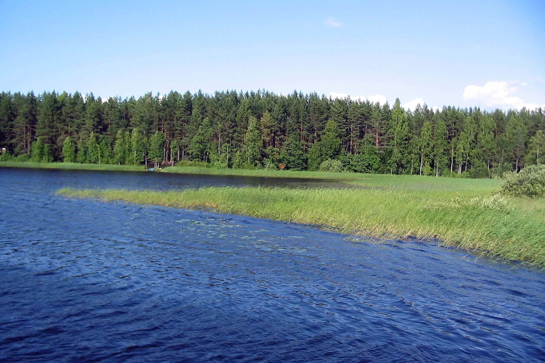 Остров Городомля на Селигере. Остров Городомля (Солнечный). Озеро Селигер поселок Солнечный. Озеро Селигер остров Городомля.