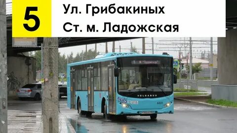 Ладожская автобусы