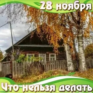 Что нельзя делать 28 ноября 2023 года