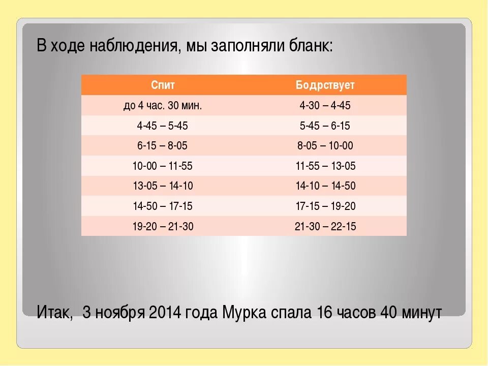 Сколько спят котята в 2. Сколькотдолжен спать кот. Сколько должен спать кот в день. Сколько спят котята. Сколько должны спать кошки.