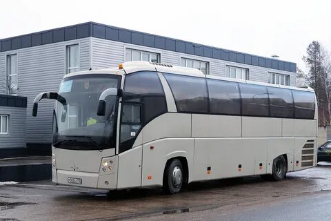 251 автобус спб