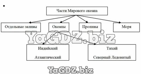 Мировой океан схема