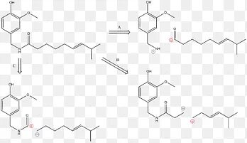 Cyp2d6. Синтез рисперидона. Cyp2d6. Декстрометорфан. Изофермент cyp3a4.