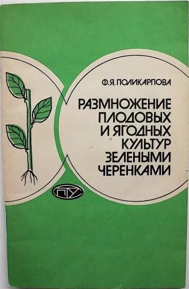 Размножение плодовых культур. Отводками куста крыжовника. Размножение плодовых культур. Схема вегетативного размножения черенками. Размножение куста отводками.