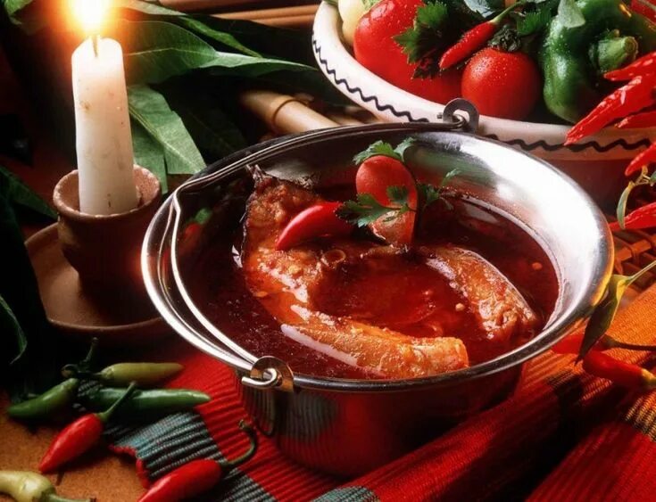 Hungarian Chicken Paprikash Recipe Hungarian chicken paprikash, Chicken recipes,