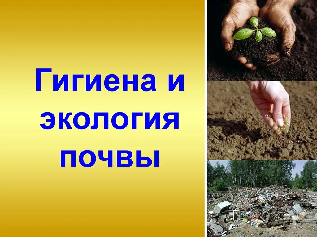 Что такое почва 4 класс. Свойства почвы презентация. Структура почвы презентация. Образцы почвы. Загрязнение почвы презентация.