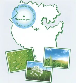 Уфа чекмагуш