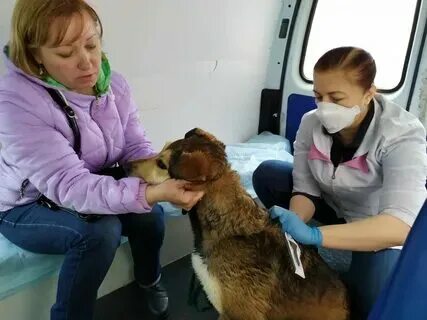 Апрелевский ветеринарный центр отзывы