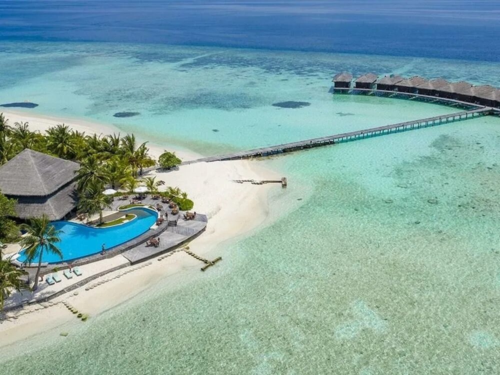 Мальдивы отели с домашним рифом. Filitheyo island resort 4*. отели на мальдивах с хорошим домашним рифом. filitheyo island resort 4 maps.
