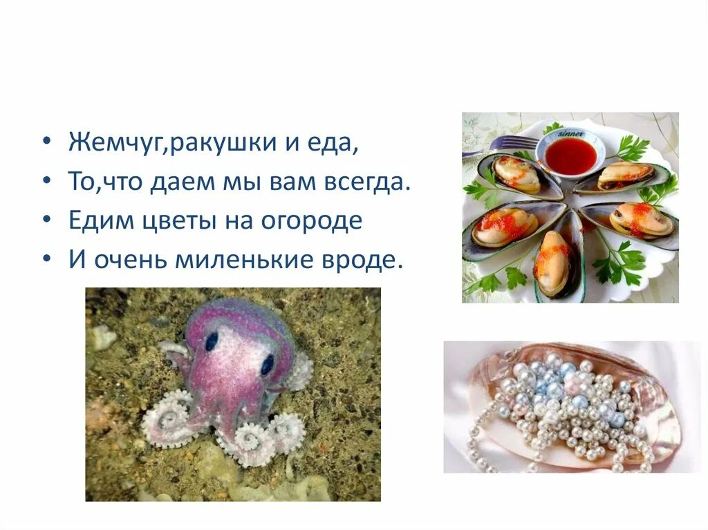 Морские загадки. Двустворчатые моллюски морской гребешок. Загадки ракушки. Загадка про раковину. Презентация на тему ракушки.