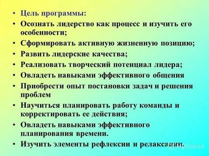 Цель программы лидер