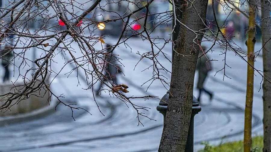 1 ноября с первым снегом доброе утро!. Холодный ноябрь. Середину ноября. Середину ноября. Глубокая осень.