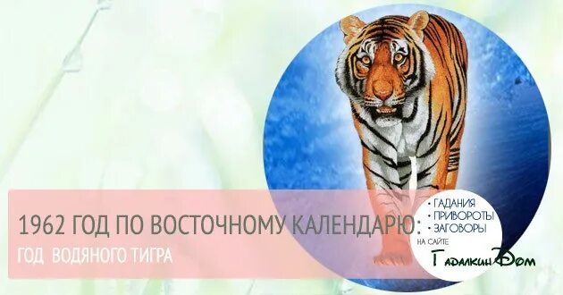 1962 Год по восточному календарю. Год тигра 1962. 1962 Год кого животного по гороскопу. Год тигра по восточному календарю.