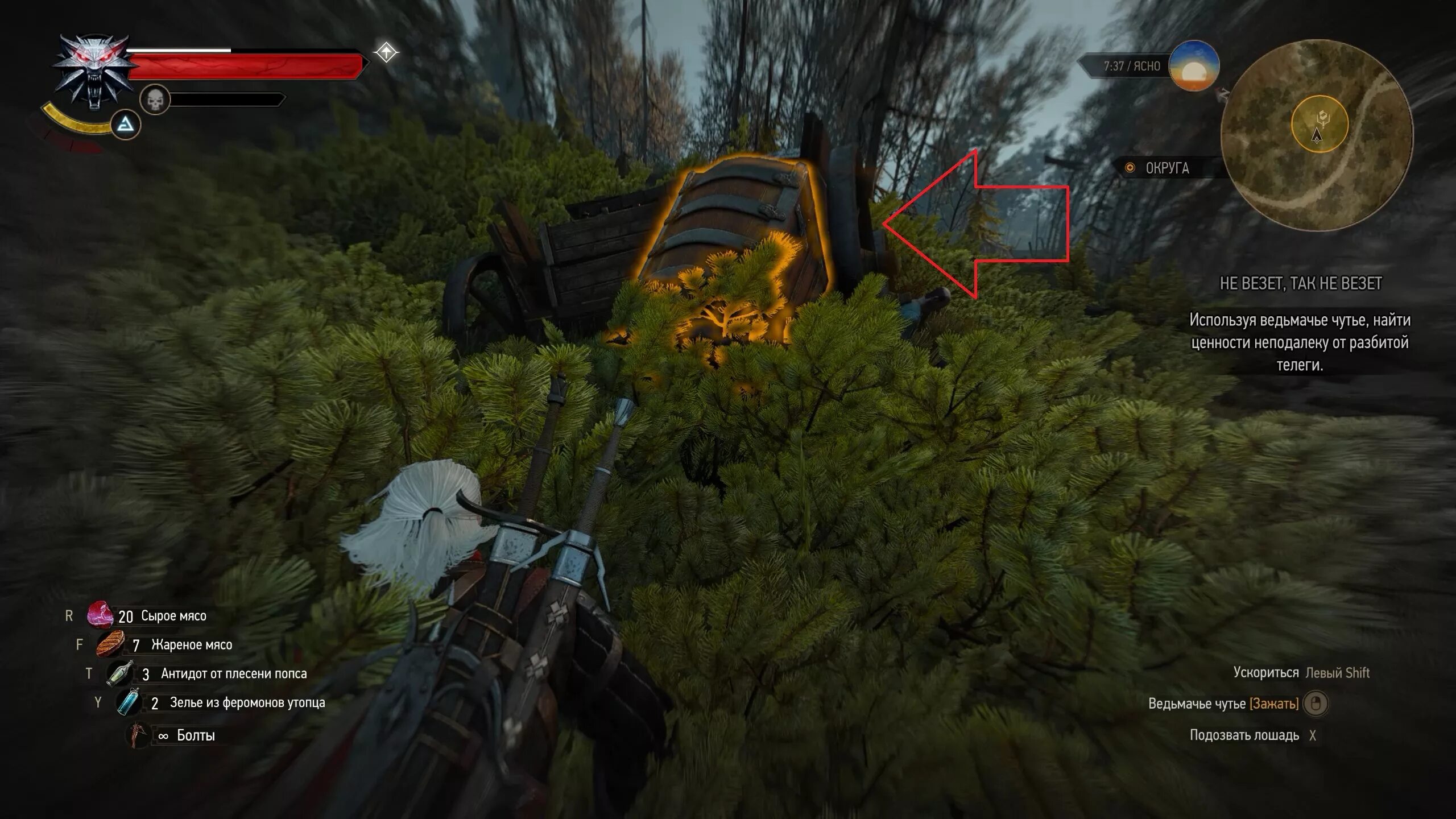 Ведьмак 3 морские дьяволы. Зелья из ведьмака 3. Ведьмак 3 гнезда утопцев. Изготовить эликсир из феромонов утопцев ведьмак 3. Ведьмак 3 гнезда утопцев.