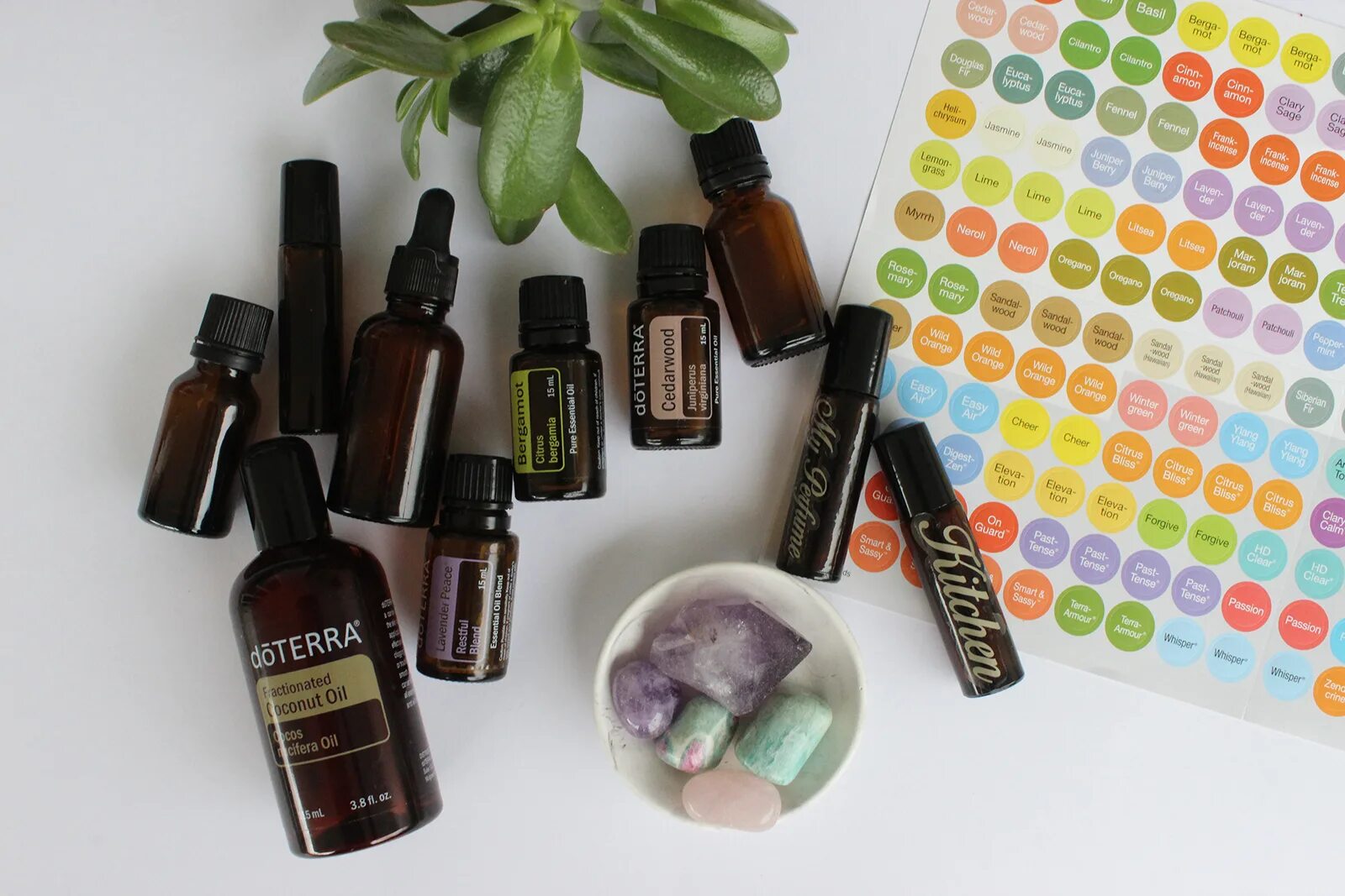 Стронгер дотерра. Эфирное масло перечная мята doterra. Doterra орегано роллер. Набор эмоциональная терапия дотерра. Dōterra нероли touch dōterra neroli touch дотерра.