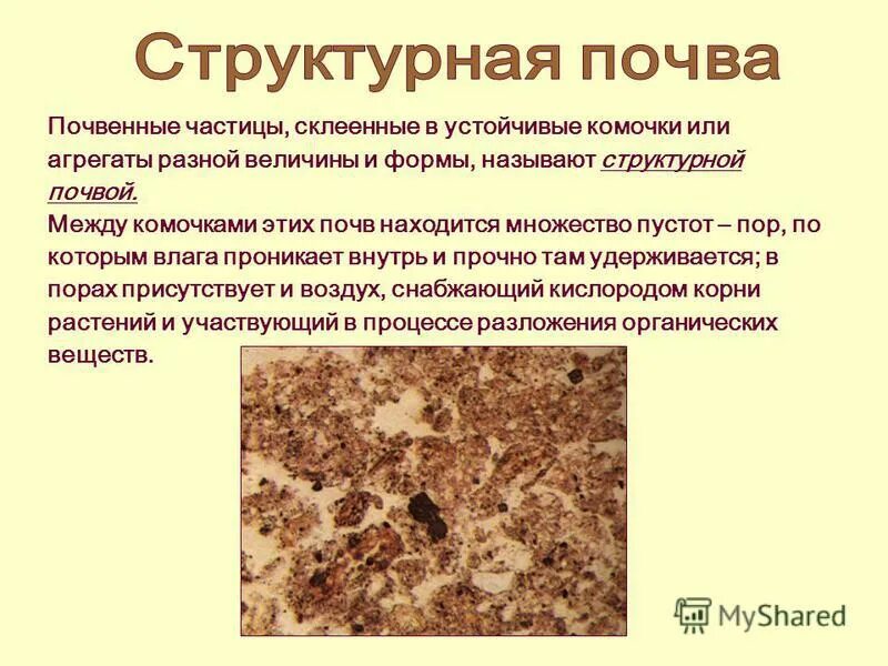 Различие почв бесструктурные. Бесструктурная почва. Структурные и бесструктурные почвы. Структурная почва. Почвенные частицы.