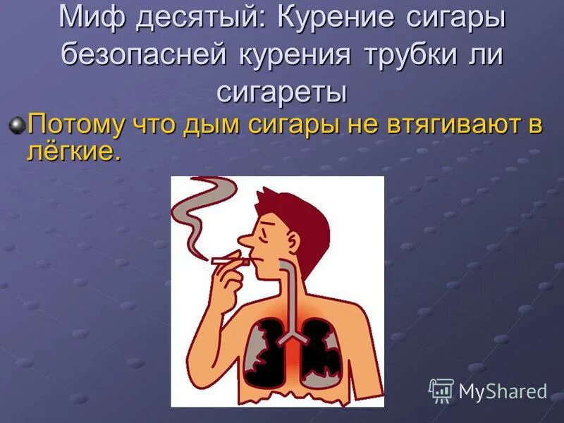 Курить большинство. Мифы о курении. Мифы о табакокурении. Безвредное курение.
