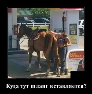 Комплекс пошло