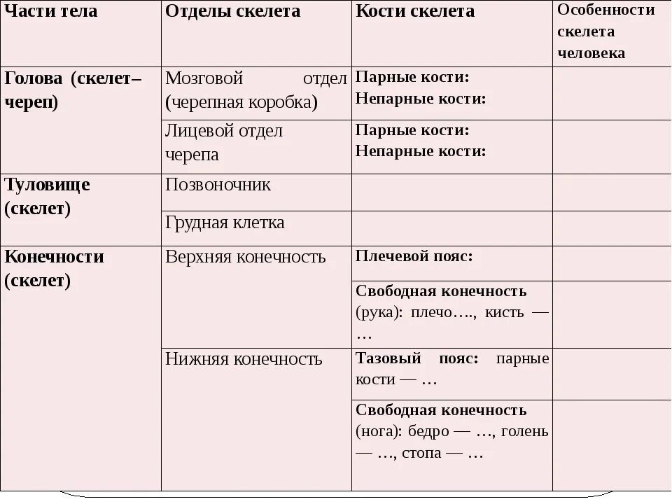 Таблица по биологии 8 класс отделы тела отделы скелета кости скелета. Отделы скелета человека таблица 8 класс биология. Отделы скелета кости скелета таблица по биологии 8 класс тела. Опишите основные отделы скелета человека таблица.