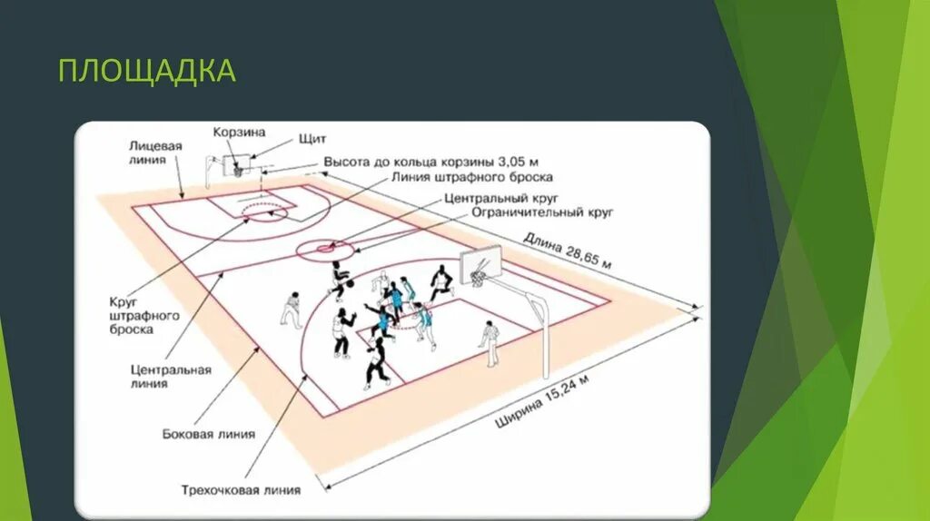 Сколько игроков может находиться на баскетбольной площадке