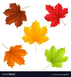 Autumn leaves Royalty Free Vector Image - VectorStock