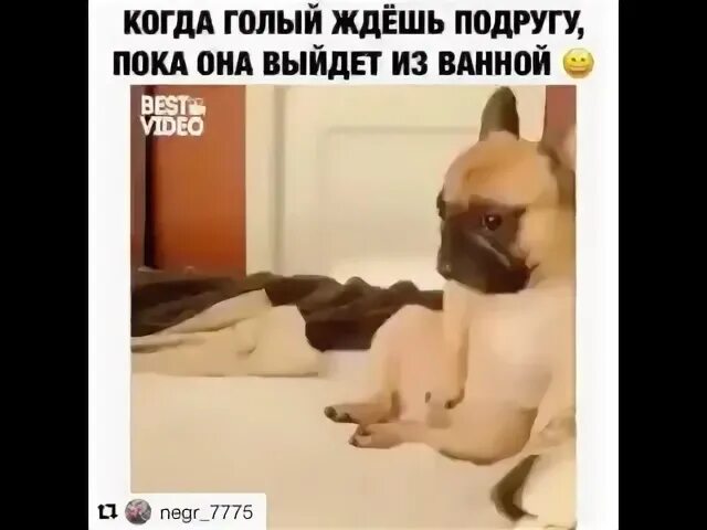 Жду пока выйдет из душа