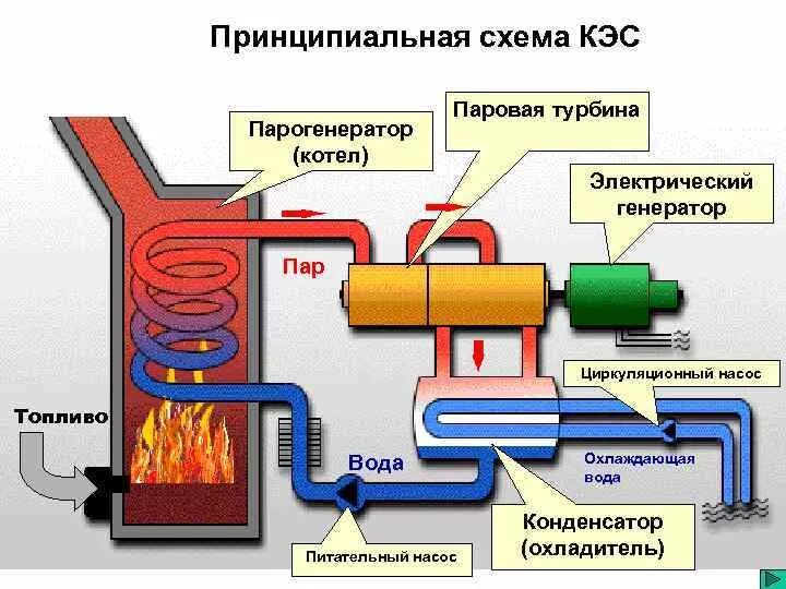 Получение горячей воды. Устройство принцип работы парогенератора для котельной схема. Принцип работы тепловой электростанции схема. Схема парового котла ТЭС. Принципиальная схема конденсационной электростанции.