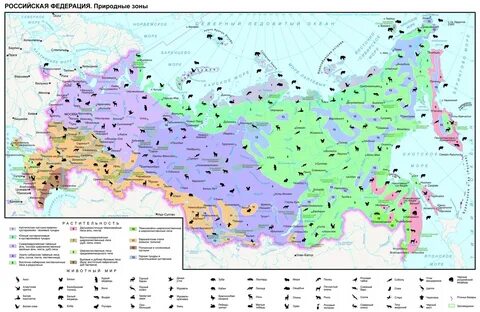 Карта природных зон росси