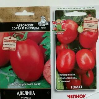 Семена аделины