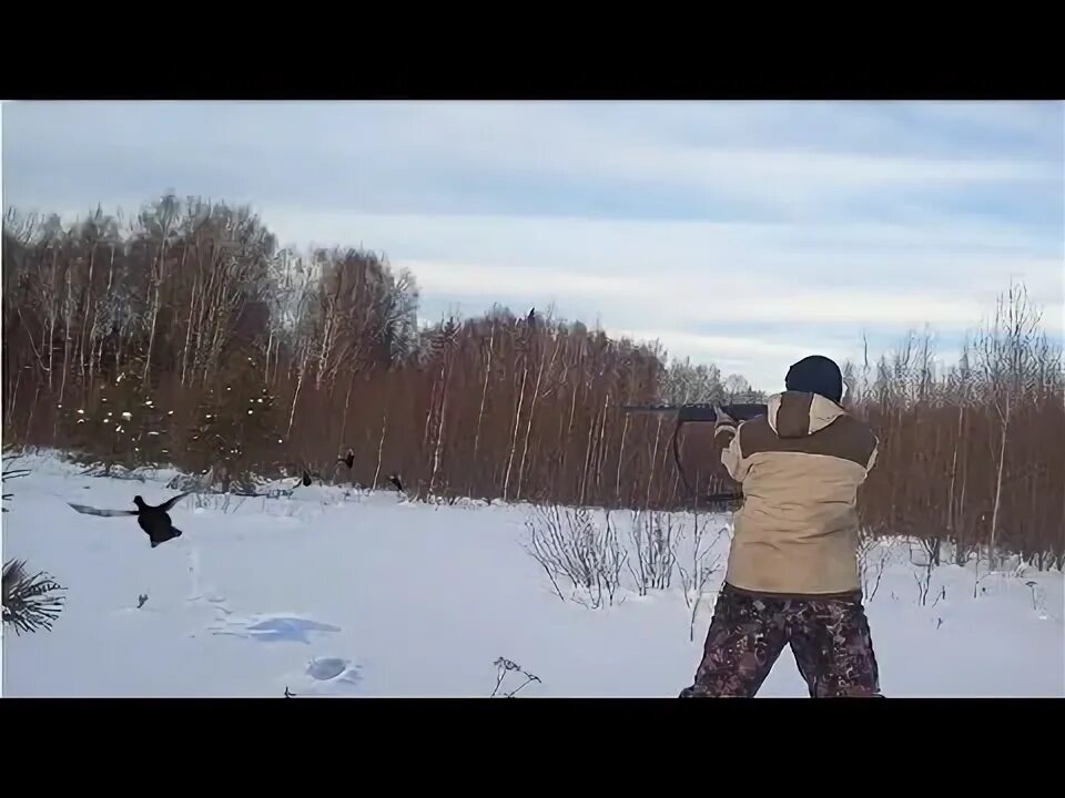 Охота началась. Песня что то охота для души куражу. Песня что то охота для души куражу. Песня что то охота для души куражу. Ружье на уток.