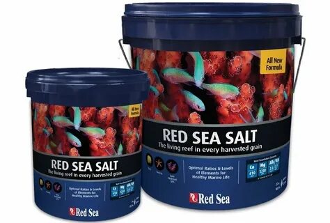 Red sea отзывы