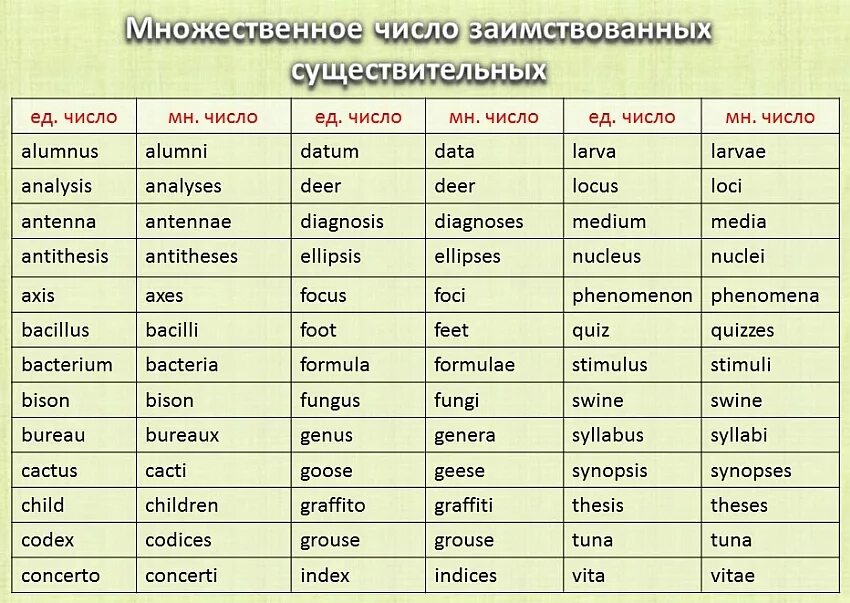 Жизнь множественное число. Множественное число существительных в английском языке исключения. Существительные исключения в английском языке множественное число. Существительное во множественном числе в английском языке. Исключения во множественной форме существительных в английском.