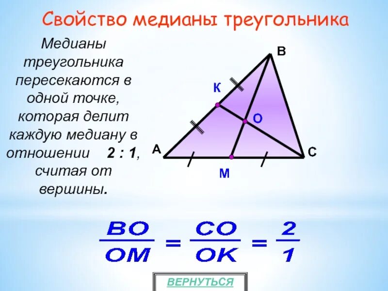Медиана треугольника 2 1. Медианы точкой пересечения делятся в отношении 2 1. ОСТРОУГОЛЬНИК С медианами. Медиана треугольника. Мкдмвна в треугольнике.