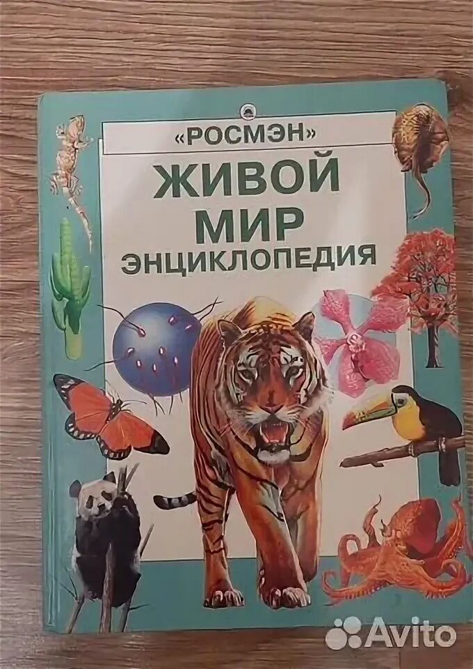 Энциклопедия мир животных. Удивительный мир животных энциклопедия для малышей. Энциклопедия животных. Удивительный мир энциклопедий. Современная энциклопедия для девочек от 6 до 12.