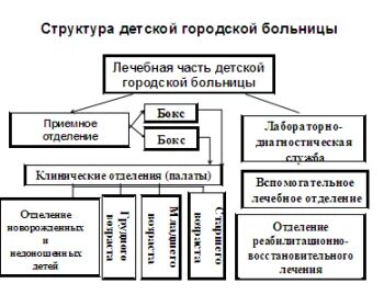 Структура и организация работы поликлиники
