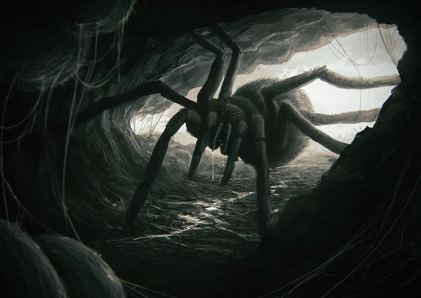 Nyf spiders
