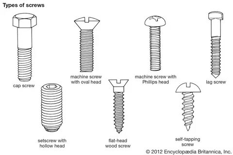 Family screw