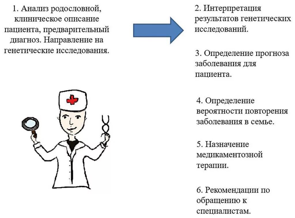 Медицинская генетика тест. Медико-генетическое консультирование. Методы медико-генетического консультирования. Этапы медико-генетического консультирования. Основные направления медико генетического консультирования.