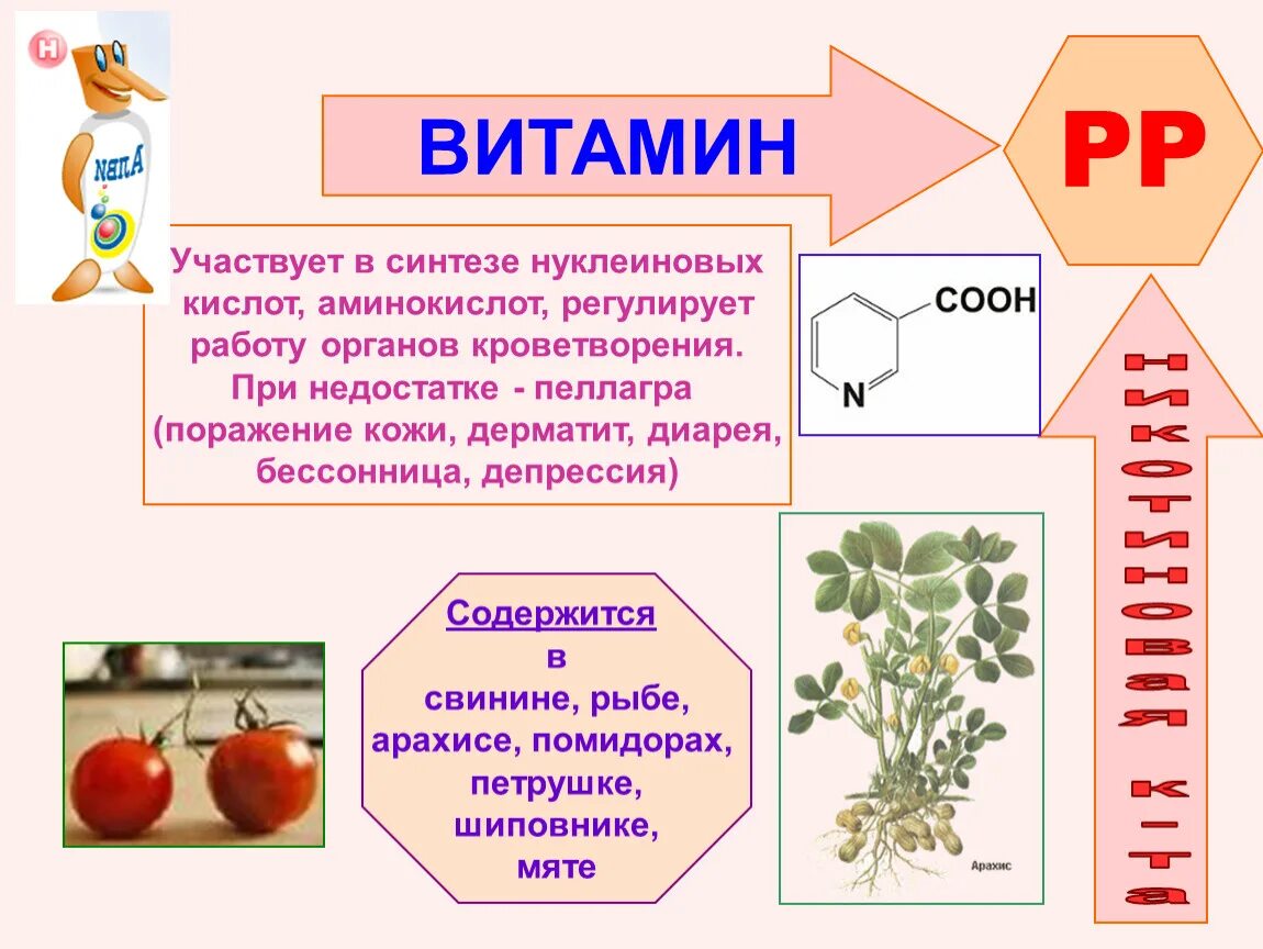 Что дает в3. Витамин pp никотиновая кислота содержится. Чем полезна омега 3. Витамин в3 - ниацин (витамин рр). Что дает в3.
