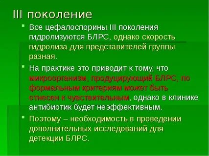 Что такое поколение бета 2025