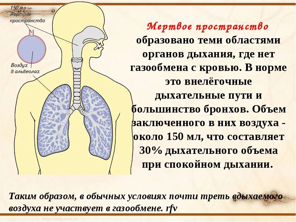 Дыхательная площадь легких. Объем мертвого пространства дыхательной системы составляет. Органы дыхания в норме. Мертвое пространство легких. Мертвое пространство дыхательной системы.