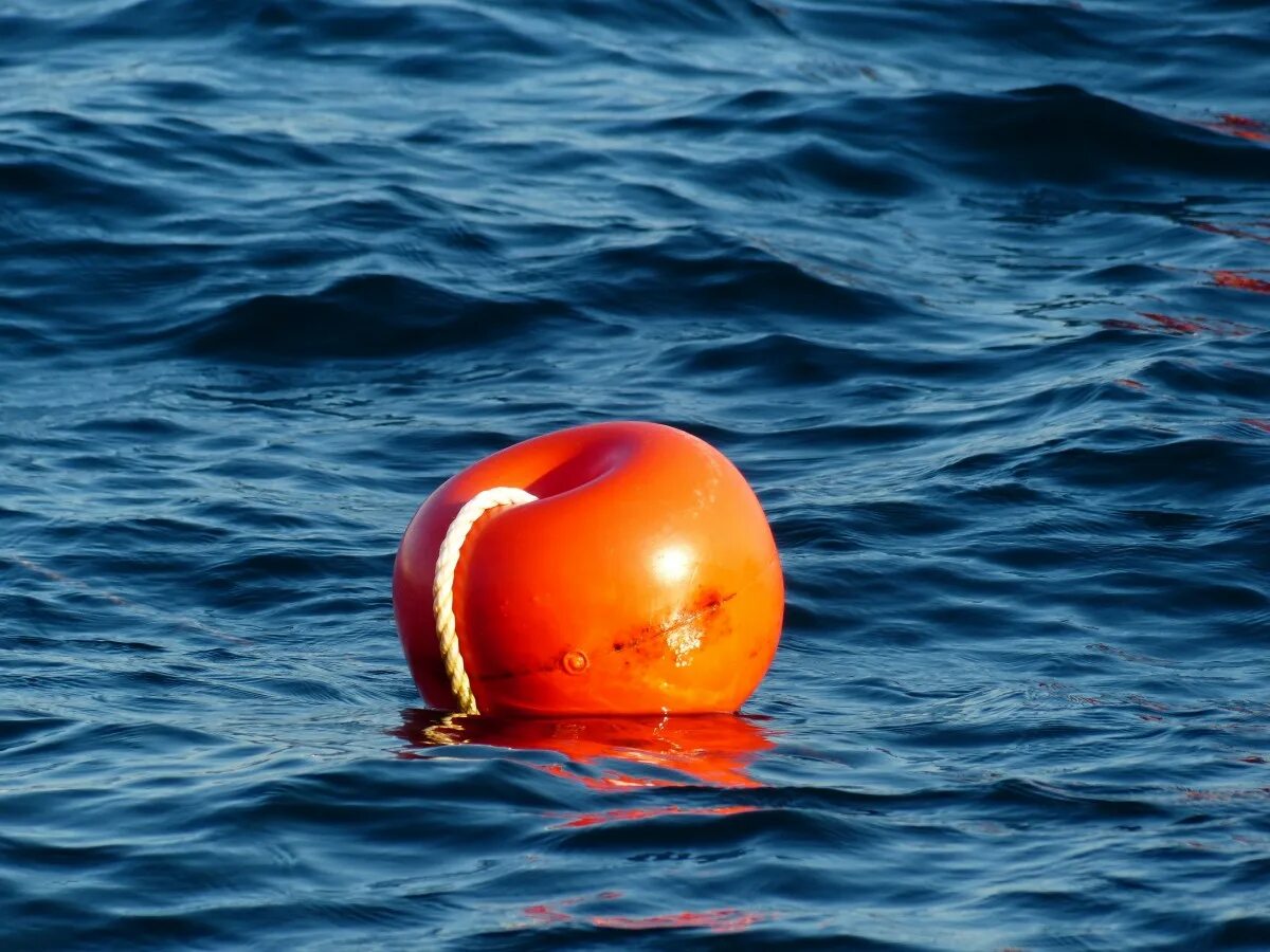 Море за буйками. Зачем буйки. Плавучий буй. Буйки на пляже. Зачем буйки.