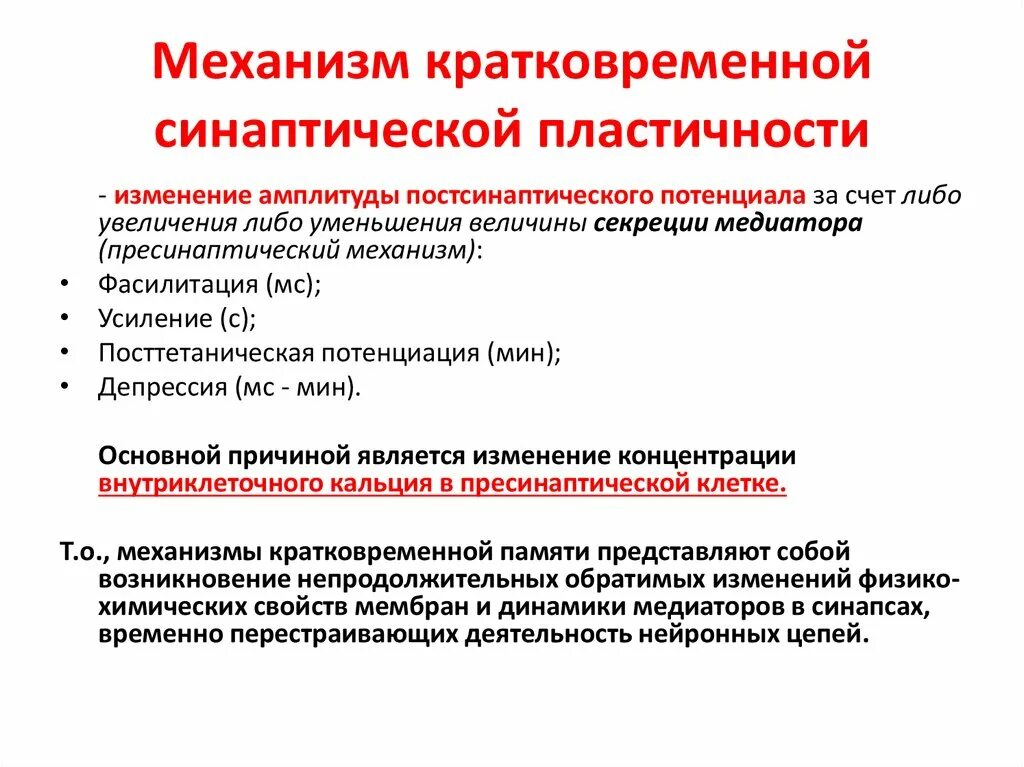 Основой кратковременной памяти является. Механизмы кратковременной и долговременной памяти. механизм кратковременной памяти физиология. механизмы формирования долговременной и кратковременной памяти. механизм формирования кратковременной памяти.